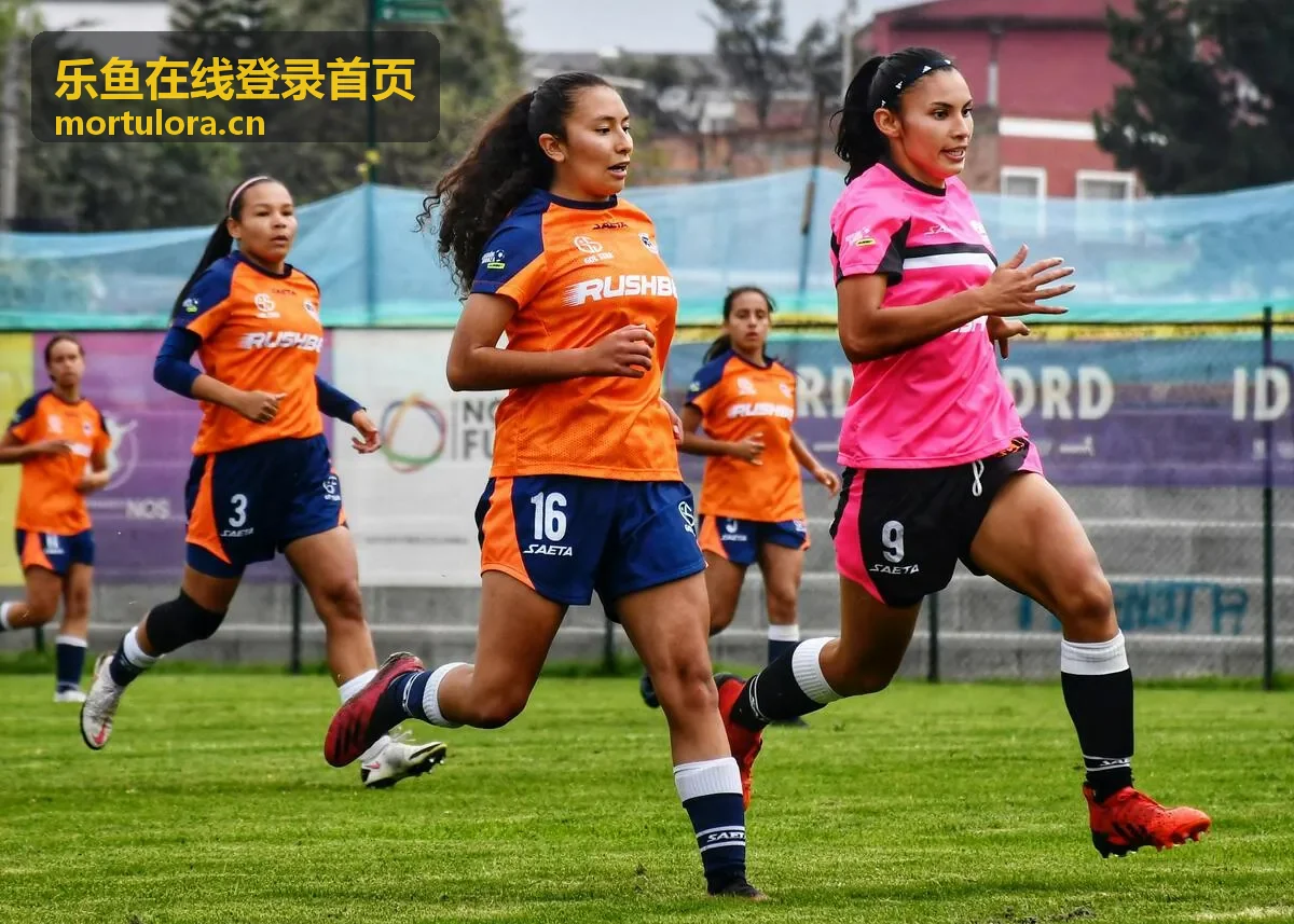 乐鱼在线登录首页安装包校验过程