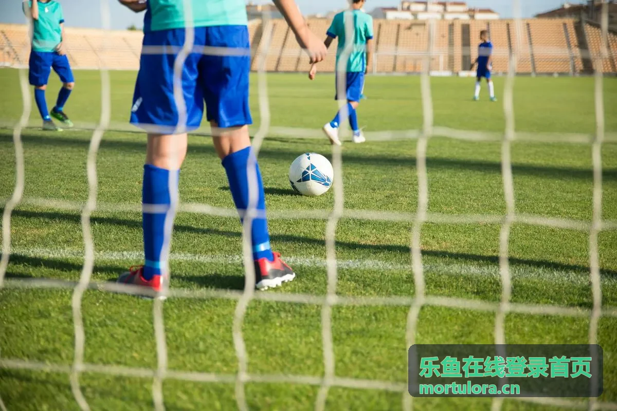 乐鱼在线登录首页账号登录与安全验证